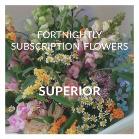 Fortnightly Subscription Flowers