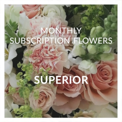 Superior Monthly Subscription Flowers