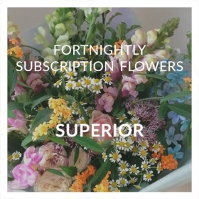 Superior Fortnightly Subscription Flowers